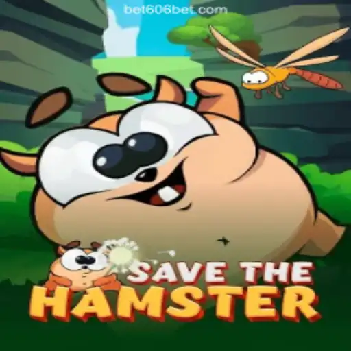 Discovering SavetheHamster: A Thrilling Adventure in Gaming